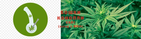 мяу мяу мука Корсаков
