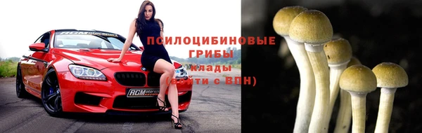 хмурый Костерёво