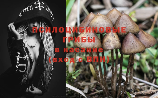 мескалин Коряжма