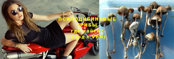хмурый Костерёво