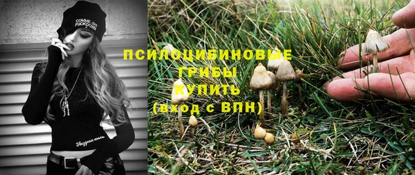 хмурый Костерёво